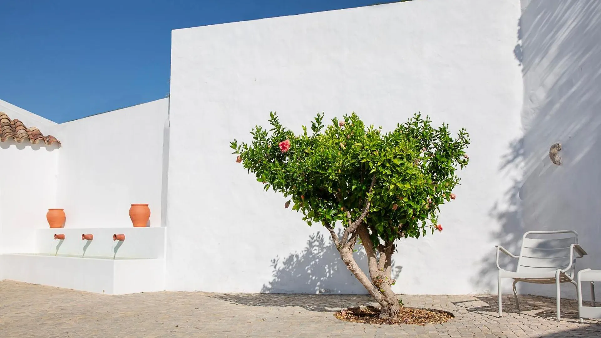 Solar Do Bisavo Bed & Breakfast Bordeira